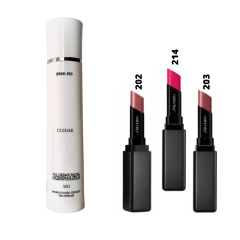 Kit de Batom em Gel VisionAiry Lipstick Shiseido + Gel Creme Facial Cuidar FPS30 Luciana Melo 